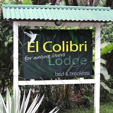 مانزانيلو El Colibri Lodge المظهر الخارجي الصورة
