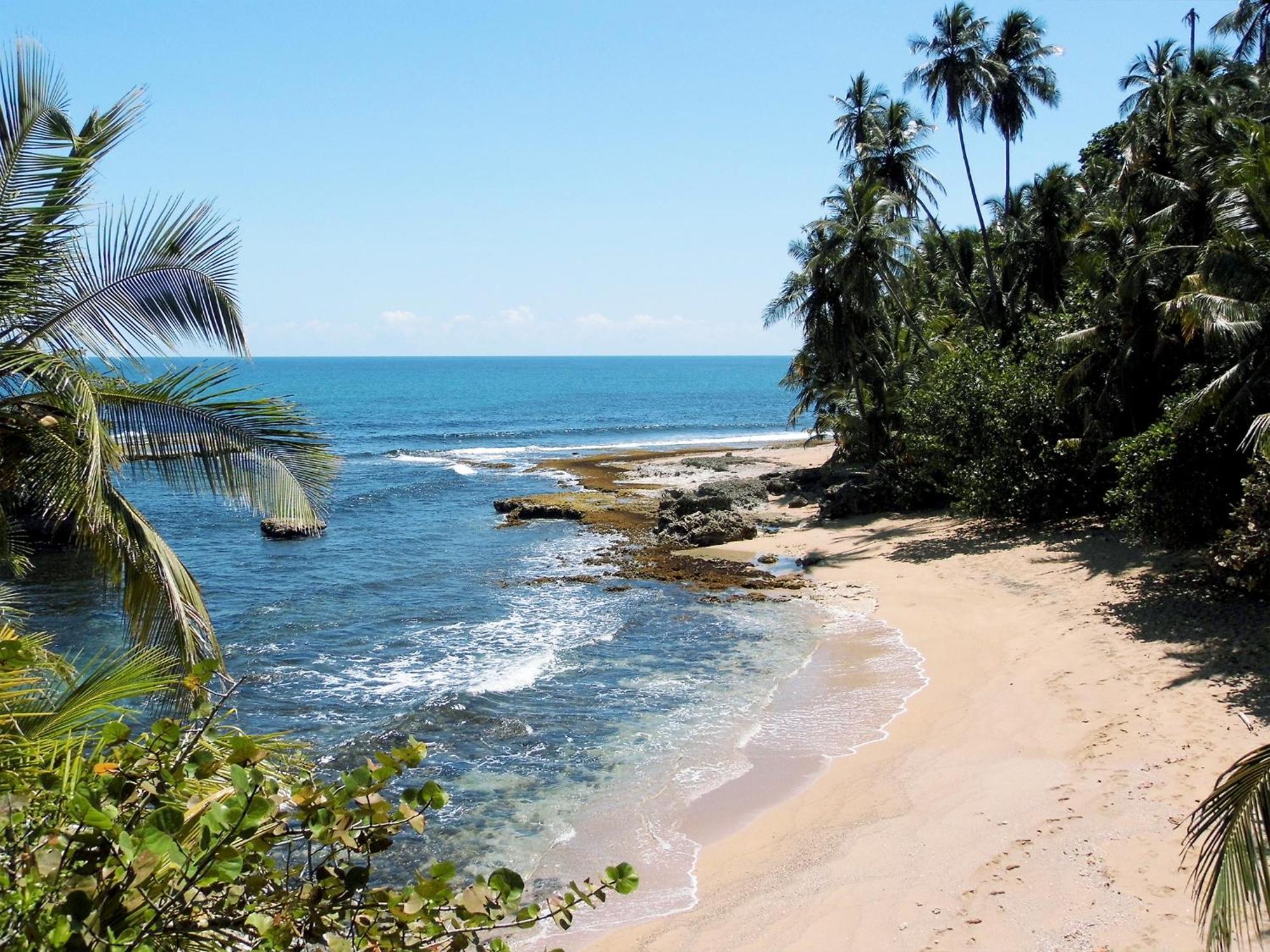 مانزانيلو El Colibri Lodge المظهر الخارجي الصورة