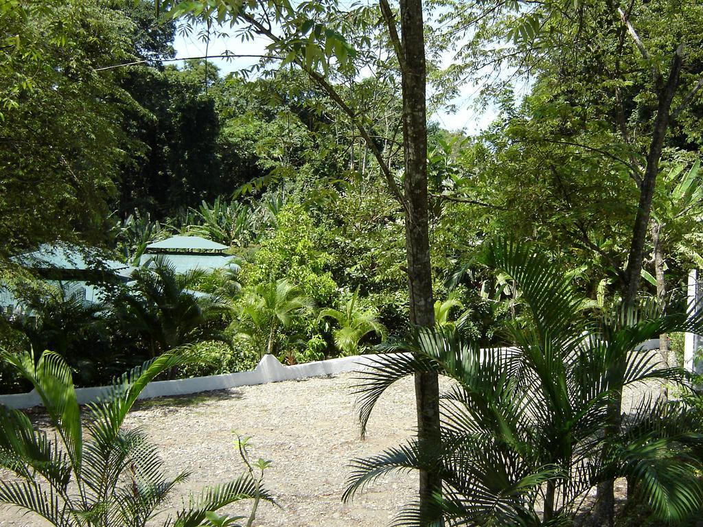 مانزانيلو El Colibri Lodge المظهر الخارجي الصورة