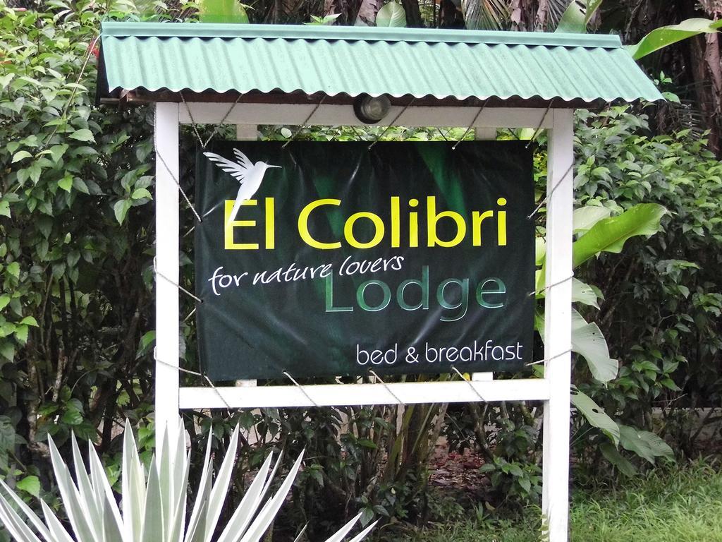 مانزانيلو El Colibri Lodge المظهر الخارجي الصورة