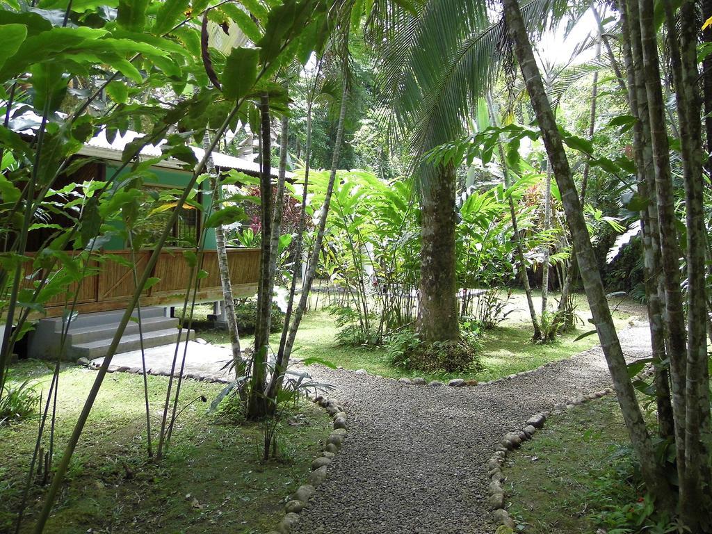 مانزانيلو El Colibri Lodge المظهر الخارجي الصورة