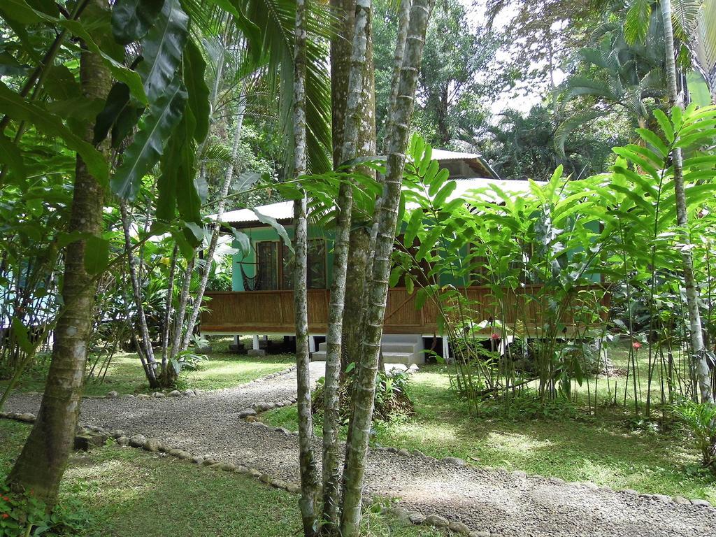مانزانيلو El Colibri Lodge المظهر الخارجي الصورة