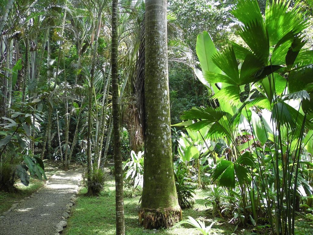 مانزانيلو El Colibri Lodge المظهر الخارجي الصورة