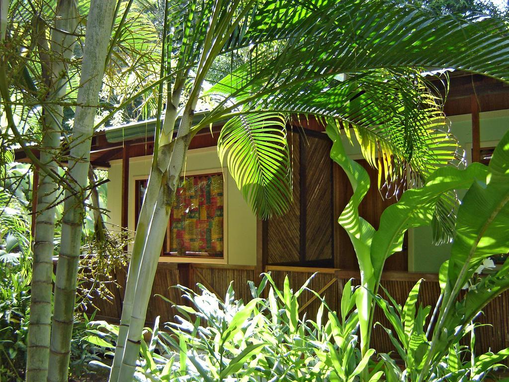 مانزانيلو El Colibri Lodge المظهر الخارجي الصورة